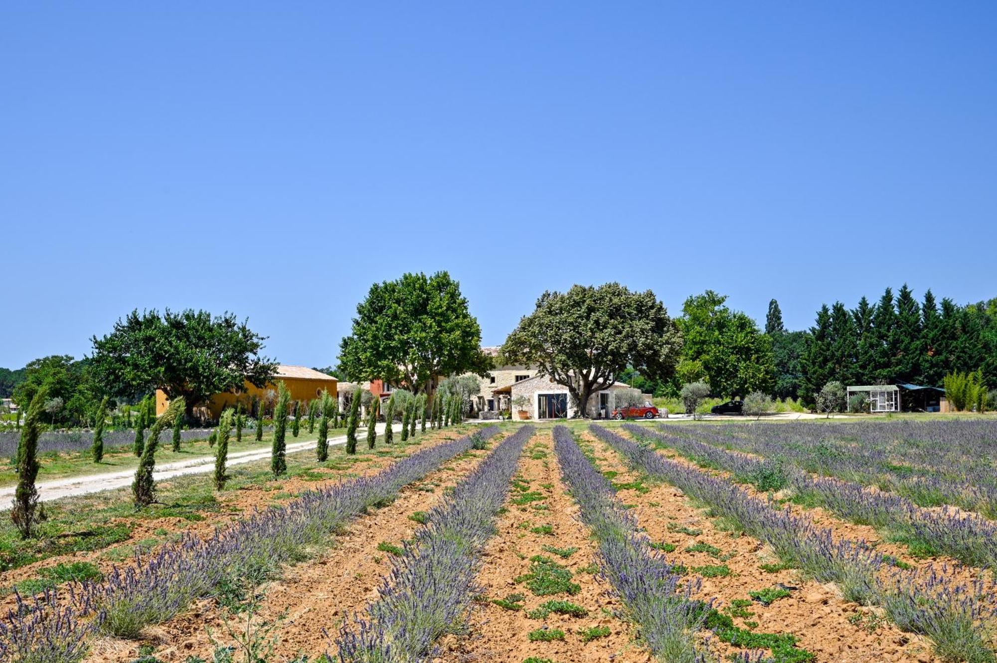 Villa Domaine D'Egenia Roussillon en Isere Exterior foto