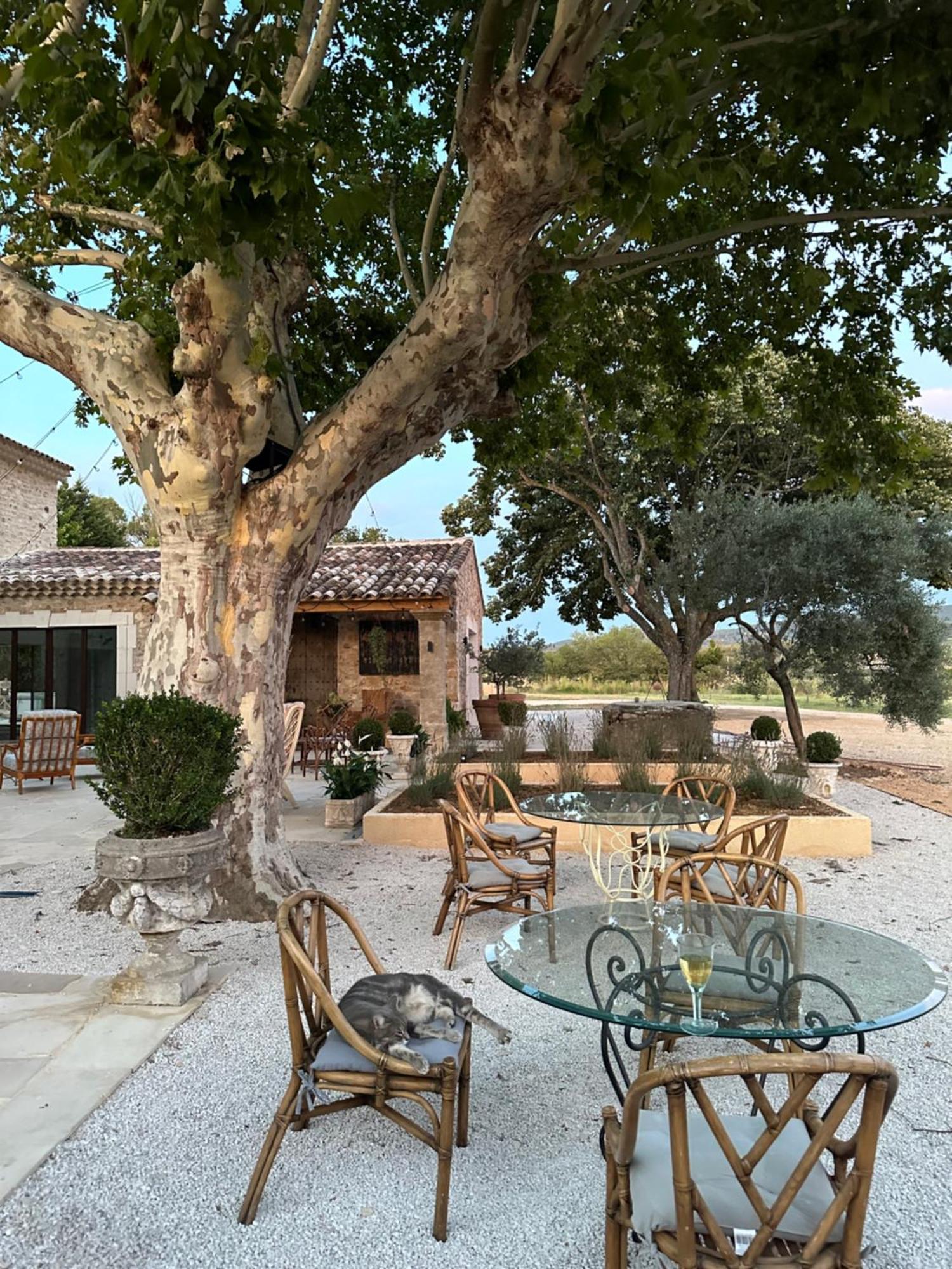 Villa Domaine D'Egenia Roussillon en Isere Exterior foto